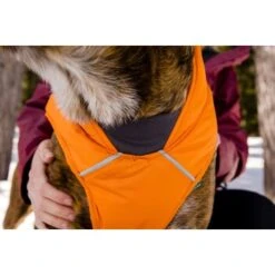 Ruffwear Quinzee™ Hundejacke Orange M -Tierbedarf Rabatt Geschäft 001bdf29a34dffebf7840b4a759030f83c299732 1370013 de DE 17dd615b14a3a705025267b6458fddf099eb308bn8H5c2