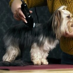 Moser Schermaschine Typ 1400 -Tierbedarf Rabatt Geschäft 02df9a45ad10057f7cdfbb122412b44ddb24fd91 7c7f90f149fd71377858189c53a8f5cca4170f60