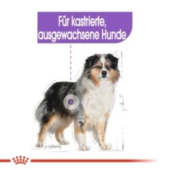 ROYAL CANIN Sterilised Medium 12 Kg -Tierbedarf Rabatt Geschäft 039eaafa911afd7ed0cefd0f84954f3b2ae5a847 1376253 de DE oajs 5