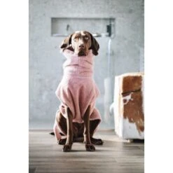 Lills Lill's Hundebademantel "Pink Berry" 35 Cm -Tierbedarf Rabatt Geschäft 04a74783d50cdc98002051c351bf7a8a33cd1745 1349655 de DE 212dae4af17564ba144b7af1fd42f4b436426636rEvFkh