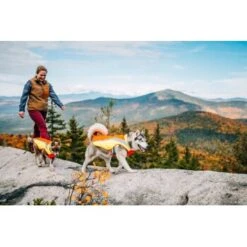 Ruffwear Lumenglow™ High-Vis Hundejacke Orange XL 17 Ruffwear Lumenglow™ High-Vis Hundejacke Orange XL -Tierbedarf Rabatt Geschäft 055f8ec457e40b7d33e9c275c20ea79bae1e006a 1378153 de DE e8b1f6094bc39d07bc90bd4fe7fc0806cf22bedaBId7iB