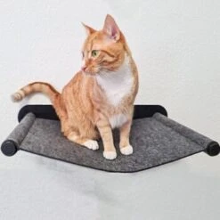 Canadian Cat Company Filz-Hängematte Für Die Wand -Tierbedarf Rabatt Geschäft 05bff4a9f82ca17aac31ad0d578a843a03e969a6 1360996 de DE 2f7dba7fff7fd30e8ac28d61faf3072ba982a2de23tQBO