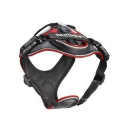 Julius K9 JULIUS-K9 IDC Longwalk Rot/ Grau XS 5 Julius K9 JULIUS-K9 IDC Longwalk Rot/ Grau XS -Tierbedarf Rabatt Geschäft 08bdcefa8b4fef70cae2dcb79e97594cc4967a61 1346666 de DE K9 2