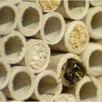 Dobar Großes Profi-Insektenhotel 3 Dobar Großes Profi-Insektenhotel – Bild 3