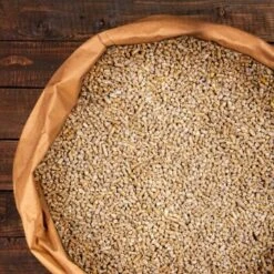 Deuka W/Z-Futter 25 Kg - Wachtelfutter Gekörnt -Tierbedarf Rabatt Geschäft 0961cba8bc9b682144a25d2a60b8147c0b226c3c 1385972 de DE c4802ac00ac3e6e15c11cc1414598b7e38aff560opB2e4