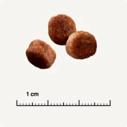 SELECT GOLD Digestion Senior Geflügel Und Reis 2,5kg -Tierbedarf Rabatt Geschäft 0999645de19e34aac9b2c14ea642717fe4bc62d2 1001086008 de DE 6