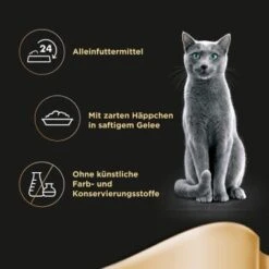 Sheba Delikatesse In Gelee 22x85g Huhn -Tierbedarf Rabatt Geschäft 0d48f2e0acf38e32e3c1236a212b090b82ffaf01 0cd2b7b738dcd563631f5dd17b5ef2c1564df9e9