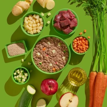 Fred & Felia FRED Kennenlernbox 7 Fred & Felia FRED Kennenlernbox – Bild 7