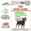 ROYAL CANIN Digestive Care Adult Pouch 12x85g