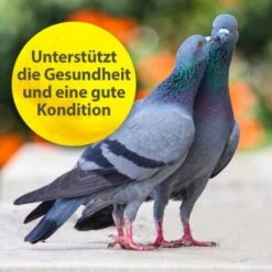 Quiko Multivitamin 375 G -Tierbedarf Rabatt Geschäft 104df2b21f8fd9e32b99e367a9a5b3569dbad191 1387633 de DE f867bf42cdcdb7e6959667b1210fedd6d7d4c069gH7Wsa