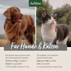 Aniforte Teufelskralle Pulver 250 G -Tierbedarf Rabatt Geschäft 1129af5e6fdd7620bcbe603f840f1fa32ab4f263 1337239 de DE d209e79c0d9935be673cb478ddae6b5f270dff2bSkXDU9