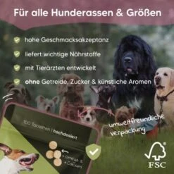 Pawlie's Gelenk Fit Tabletten Hund (100 Stück) -Tierbedarf Rabatt Geschäft 13c2aa37a08da916b1cd8014d264ba1cb5e12204 1626201 de DE 016987b286bf5101f5ed2a1610825cada7f4cd39esKrs5