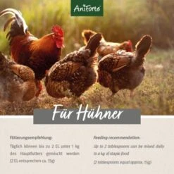 Aniforte Hühnertraum 2,5kg 9 Aniforte Hühnertraum 2,5kg -Tierbedarf Rabatt Geschäft 13e31c8dbbabb27d80f3cce6d8a9679ac93eff38 1489436 de DE d0bebbecd550a7264f4c6f2e70174a5bc1f20113ghfben