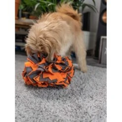 TrendPet Schnüffelball Orange -Tierbedarf Rabatt Geschäft 150c7485ceb45f446eae94d286af034396b6b839 1347789 de DE 0d959a3cb36067968769c2d102a66fcc1f59a724hVebVb