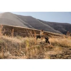 Ruffwear Hover Craft™ Spielzeug Orange -Tierbedarf Rabatt Geschäft 15670c7f824cb67257971dca32974b68eba14a2f 1364297 de DE f53c4ca5615bcabb9ccbd712339b8f568f29402frPrk2m