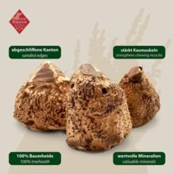 ChronoBalance Kauwurzel Baumheide (XS) 2er Paket -Tierbedarf Rabatt Geschäft 1692a418716251115199c9d234f54c25eb368478 1418712 de DE 7f5c8529b0ef5815ce0e8f89d9a5ef23e03b1c21G7Omjy