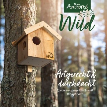 Aniforte Wild Eichhörnchen Kobel 2 Aniforte Wild Eichhörnchen Kobel – Bild 2