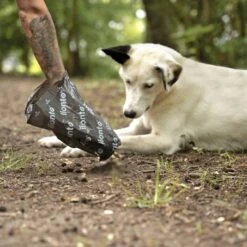 Lionto 900 Hundekotbeutel, Schwarz/grün 7 Lionto 900 Hundekotbeutel, Schwarz/grün -Tierbedarf Rabatt Geschäft 17d84f00e6e089a625e4a7445a96fed1a09bb2f4 1505073 de DE c0948f5c29f13d2cf13d5fe146c78c3bdc08027cV7CBfj