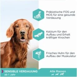 EUKANUBA Daily Care Sensible Verdauung 12 Kg -Tierbedarf Rabatt Geschäft 1a7d954ffcf2645186347fe3a5210755c5368933 4414615294b74dc58e6a1119f8cd6be9a67be173