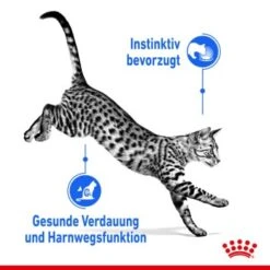 ROYAL CANIN Indoor Sterilised 12x85g In Gelee -Tierbedarf Rabatt Geschäft 1bf9d609b9998b0ce738f1e4af7089787567ddbd bded06d91e43adbf2bf2d0ffe19d0e7dcc79167a