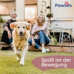 Pawlie's Gelenk Fit Tabletten Hund (100 Stück) -Tierbedarf Rabatt Geschäft 1c6a6429b71eab5415d0214c381f07051a1fc258 1626201 de DE fc246e46dc05978124c2e49ef6a7667224e432edKNFNet