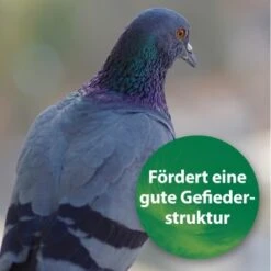 Quiko Spirulina 250 G 6 Quiko Spirulina 250 G -Tierbedarf Rabatt Geschäft 1d197f2e004bf765dcdb99f3cb777c57285c03ed 1387640 de DE 185e18e93f54cb0130b70ffb741d9e21c1c0250eZ39B4c