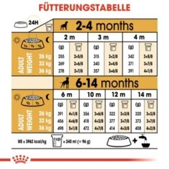 ROYAL CANIN Boxer Puppy 12 Kg -Tierbedarf Rabatt Geschäft 1d7f5e3d2a00d175774adf8c01d791ebe8277dfc 6dff00cd99ccb72aecf4367e12827d5743855c22