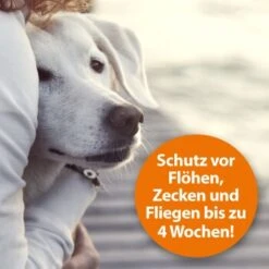 Ardap Flohspray Zur Anwendung Am Tier 250ml -Tierbedarf Rabatt Geschäft 1e38b7747570a91b3fd009f3974005664ac2d015 1227735 de DE 3ce23e78efb3686272f02c09e5ca6ade74ba7902gmBWUo