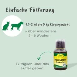 CdVet DarmAktiv Hund & Katze -Tierbedarf Rabatt Geschäft 20f97ecdf0d1ffcfb801106a832b56eeb90b7ae7 1275783 de DE df285a7251b609af4ad725b5b44436687497880a3mfCtI