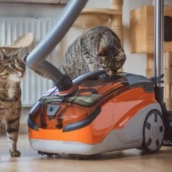 THOMAS AQUA+ Pet & Family -Tierbedarf Rabatt Geschäft 21e8e8518abc51c946ca914e90765288e3a69832 1408595 de DE b89bf30d7c68d7291af3123da80a610e6c34da4duk7V17