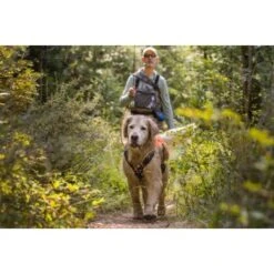 Ruffwear Brush Guard™ Geschirrzubehör S -Tierbedarf Rabatt Geschäft 2275adfad51de073b304c2c73d17011d318ed35d 1651427 de DE 17729fb29f96cf519995f150dd5871cde0aa97d2N0gP2P
