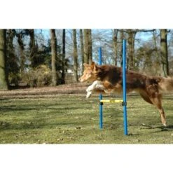 Dobar 3-teiliges Agility Sprung-Set,, Inkl. Tragetasche -Tierbedarf Rabatt Geschäft 23438a1c89953580debb447a4f2a6705cf109122 9daba483a29d35b05cf9df2cf0269c15e7db3ed2