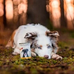 DOG'S LOVE Adult Fleisch Pur B.A.R.F. 6x400g Huhn -Tierbedarf Rabatt Geschäft 23da8a3e43fad305a04436df0548025ecd8d9384 1274546 1