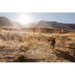 Ruffwear Hover Craft™ Spielzeug Orange -Tierbedarf Rabatt Geschäft 23f3ce0fb188e4f5a253007adc90481d6747961b 1364297 de DE e44fe3627eb338195cfdd7c589598a8edb05def2xpzXS1