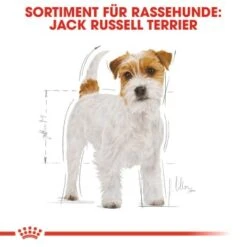 ROYAL CANIN Jack Russell Terrier Adult 7,5 Kg 10 ROYAL CANIN Jack Russell Terrier Adult 7,5 Kg -Tierbedarf Rabatt Geschäft 23f4a1c361b3cd7c533f6a8a2a968ced135f4fa1 d1327eec1553ad2cb3d84080903c760dc7c2a628