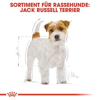 ROYAL CANIN Jack Russell Terrier Adult 7,5 Kg 5 ROYAL CANIN Jack Russell Terrier Adult 7,5 Kg – Bild 5