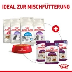 ROYAL CANIN SENSORY Smell In Gelee Für Wählerische Katzen 12x85g -Tierbedarf Rabatt Geschäft 25c7f2b0017090b05172a164b94d24299f626039 5b9b3776479c43ed4449b8634046c65b7d96c1fe