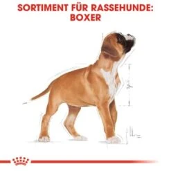 ROYAL CANIN Boxer Puppy 12 Kg -Tierbedarf Rabatt Geschäft 26b8108fe7f848d5514f54a6ebebe445e9749634 bc544cb1464daff2fcccab10e7c9f1ae73a4f2d1