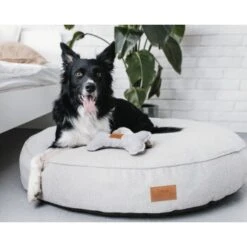 Freudentier Kuscheliges Hundebett Mit Memory Foam ⌀100cm Hellgrau 1 M 13 Freudentier Kuscheliges Hundebett Mit Memory Foam ⌀100cm Hellgrau 1 M -Tierbedarf Rabatt Geschäft 26c38c5aebcd52b552ff5bdb5460158d8e88e39e 1421323 de DE 04f9a7f7bb078bb1ab33dcbe80d921f3aaa9d108u5MVfR