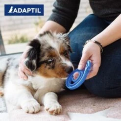 ADAPTIL Junior Halsband Anti Stress Erziehungshalsband -Tierbedarf Rabatt Geschäft 281050210313953b97368cab0756aeb1543af3e5 1287044 2