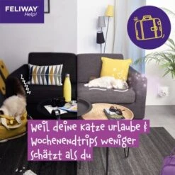 Feliway Help! 3x Nachfüllkartusche Zur Stressreduzierung -Tierbedarf Rabatt Geschäft 29ae770ba9b7f1bf9cec9031f7a2f9aa2f9f9bf4 1380137 6