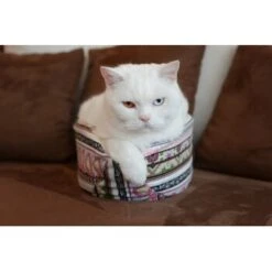 Canadian Cat Company Katzenschiff LUNA -Tierbedarf Rabatt Geschäft 2a794931f9263820d298c92486fc08c7b5fe3a35 1412669 de DE 46780a4b5da8fe052e5be00462eb02991658c41f2ZgeMs