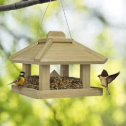 AniOne Wildvogelhaus Mit Silo -Tierbedarf Rabatt Geschäft 2a8792f6e35ff1c97cb7ad826b06312dfe6a8c07 4f5253fb981a81cd2115de211e23c61932b192d5