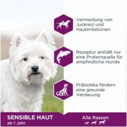 EUKANUBA Daily Care Sensible Haut 12 Kg -Tierbedarf Rabatt Geschäft 2ac8b12e9bbcd9f97aaad7e0b275ab1a12aadd10 9080130ab11389ec72354c5ef3b9e725118015a6