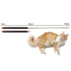 Schlitzohr Stabile Katzenangel Arnold -Tierbedarf Rabatt Geschäft 2b03aaa8061d454c3b132f3d29075b579f022315 1484671 de DE 4db6a969e0582cf4b987acff93cb66c6c6149da6OAB1hx