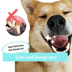 BeG Buddy Zahn Weiß Dental Spray, Zahnpflege & Maulhygiene Hund 6 BeG Buddy Zahn Weiß Dental Spray, Zahnpflege & Maulhygiene Hund -Tierbedarf Rabatt Geschäft 2b26d8c9897450ebcdc3208b54321074a39fd8e8 1457255 de DE d036d3de3fb2bf618dcbd8071c7342bd7ffedc2f5CGqW6