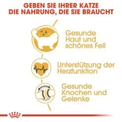 ROYAL CANIN Ragdoll Adult 10 Kg -Tierbedarf Rabatt Geschäft 2b7f4d002fcb25d0a160549b35fe8a36048495d4 cfc9c514c254f121c1e52d87d5f81af4ab650af9