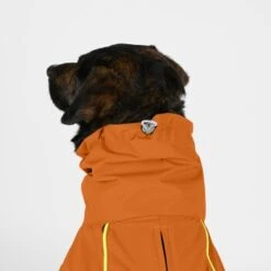 THE DOG IDEA Regenmantel Duke Orange XXXS -Tierbedarf Rabatt Geschäft 2c464c8150423d80739b1409ce956e12c7928827 1473000 de DE 974a3540330c77e50b2a59dc10e705f1dbfc6716V9PfXa
