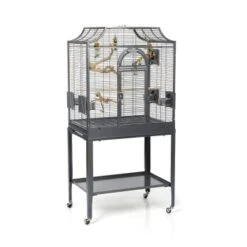 Montana Cages Vogelkäfig Madeira I
