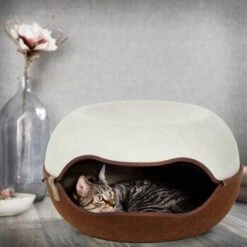 Canadian Cat Company Filz Katzennest 2.0 Weiß -Tierbedarf Rabatt Geschäft 2d709df44822ed1c554e77257ea4f2826b7f6ee6 1412670 de DE f4bc2f42c404e1ae32cb86346c8e995f0178b889j3OAow